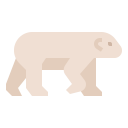 animals,wildlife,zoo,animal,wild,polar bear